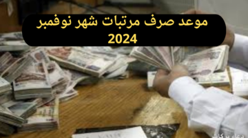 موعد صرف مرتبات شهر نوفمبر 2024 في مصر وحالات الجمع بين الدخل والمعاش