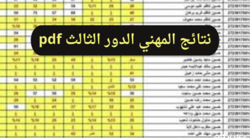 رابط سريع للحصول على نتائج المهني الدور الثالث pdf من وزارة التربية العراقية