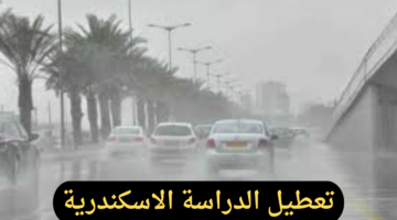 تعطيل الدراسة غدا في الاسكندرية بسبب الطقس السيئ حقيقة أم لا؟
