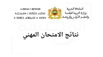 "عاجل الآن".. وزارة التربية الوطنية توضح موعد الإعلان عن نتائج الامتحان المهني 2023