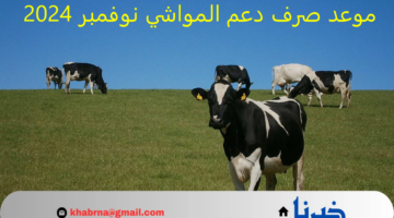 "وزارة الزراعة تحدد".. موعد صرف دعم المواشي نوفمبر 2024 في المملكة وشروط الاستحقاق