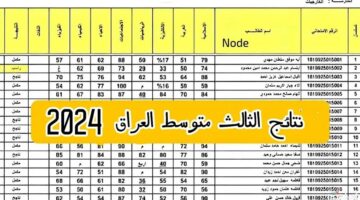 رسميا.. وزارة التربية العراقية تتيح رابط الاستعلام عن نتائج الثالث متوسط الدور الثالث 2024