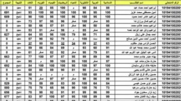 نتائج السادس الاعدادي 2024 الدور الثاني موقع نتائجنا كشوفات PDF