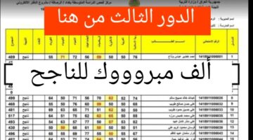 "طالع نتيجتك".. نتائج السادس الإعدادي دور ثالث 2024 عموم العراق عبر نتائجنا