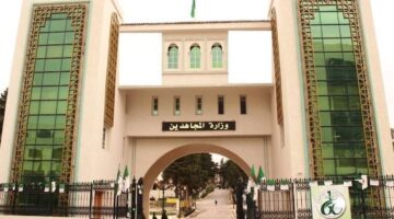 وزارة المجاهدين وذوي الحقوق تُجيب في بيان رسمي عن حقيقة بطاقات أحفاد الشهداء