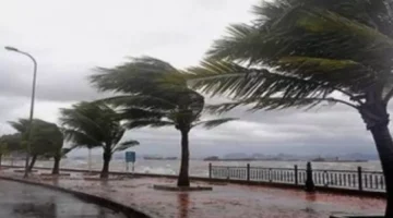 الديوان الوطني للأرصاد الجوية الجزائر يحذر المواطنين من خطورة الطقس في هذه المناطق
