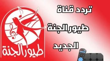 استقبل مجانًا بجودة عالية .. التحديث الجديد لـ تردد قناة طيور الجنه 2024 عبر النايل سات