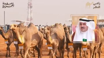 "مسابقة منقية الجزيرة".. رابط تصويت الصياهد عبر منصة راعي النظر الدور قبل النهائي