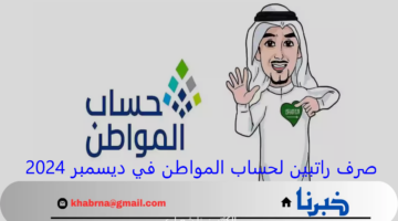 صرف راتبين لحساب المواطن في ديسمبر 2024 بالسعودية.. الموارد البشرية تكشف التفاصيل