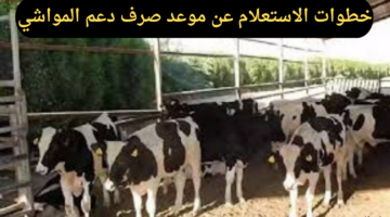 ما هي خطوات الاستعلام عن موعد صرف دعم المواشي لشهر ديسمبر 2024؟