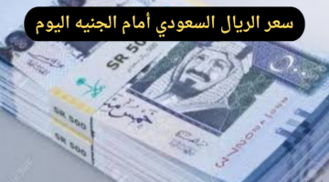 سعر الريال السعودي أمام الجنيه اليوم الثلاثاء 10-12-2024 داخل البنوك المصرية