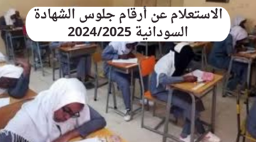 رابط سريع للاستعلام عن أرقام جلوس الشهادة السودانية 2024/2025 وجدول الاختبارات