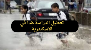 حقيقة تعطيل الدراسة غدا الاثنين 30 ديسمبر 2024 في الاسكندرية