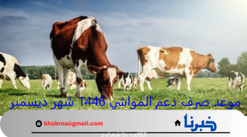 "رسميًا".. موعد صرف دعم المواشي 1446 شهر ديسمبر وخطوات الاستعلام عن الدعم