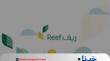 هل تم تبكير موعد دعم ريف لشهر يناير 2025 وخطوات الاستعلام عن الدعم بكل سهولة