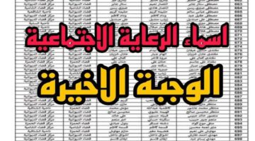 ما هي خطوات الاستعلام عن اسماء الرعاية الاجتماعية الوجبة الأخيرة؟.. "الرعاية الاجتماعية" توضح