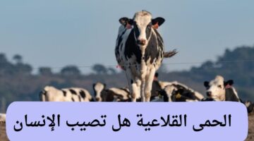 الحمى القلاعية هل تصيب الإنسان عن طريق اللبن أم لا؟ وطرق الوقاية منها