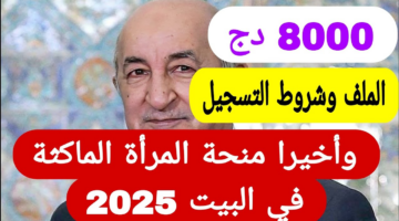 "فرصتك الآن".. الوكالة الوطنية للتشغيل منحة المرأة الماكثة في البيت 2025 وفقًا لعدة شروط