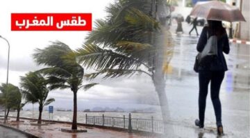 انخفاض الحرارة مع تكون الصقيع.. المديرية العامة للأرصاد الجوية تكشف حالة الطقس بالمغرب الساعات المقبلة