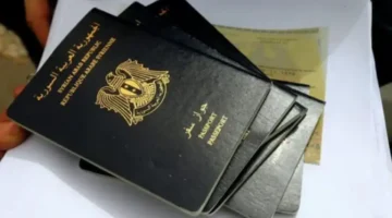 وزارة الخارجية السورية تعلن عن قائمة رسوم تأشيرة دخول سوريا لبعض الدول