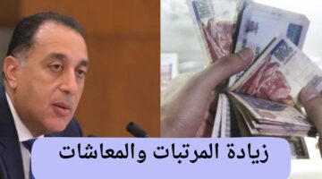 رسمياً .. زيادة المرتبات في القطاع الحكومي والخاص والمعاشات 2025 