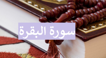 هل يجب قراءة سورة البقرة كاملة أم من الممكن تقسيمها؟ الأزهر يجيب