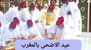 حقيقة الغاء عيد الاضحى بالمغرب .. هل يجوز منع شعيرة ذبح الاضحية أم لا؟