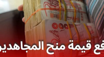 الحكومة الجزائرية.. رفع قيمة منح المجاهدين لضمان حياة كريمة وتحسين معيشتهم