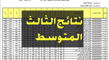 "من هنا".. رابط الاستعلام عن نتائج الثالث متوسط عبر موقع وزارة التربية العراقية