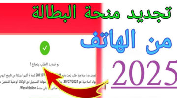 "الوكالة الوطنية للتشغيل".. تكشف خطوات تجديد منحة البطالة كل 6 أشهر وشروط الاستفادة من المنحة