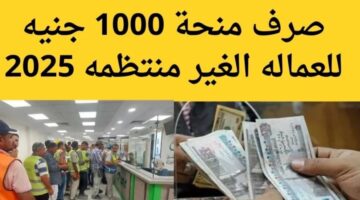 ما هو موعد صرف منحة العمالة الغير منتظمة والشروط اللازمة؟.. "وزارة العمل" توضح
