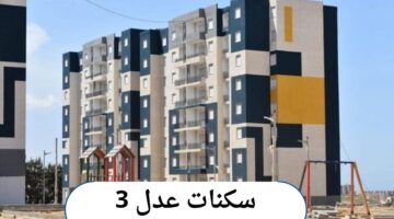 الوكالة الوطنية للتشغيل تعلن إجراءات تحميل كشف الراتب عدل 3