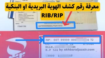 بريد الجزائر يُطلق رسميًا خدمة كشف الهوية البريدية rip عبر منصة ECCP لعام 2025
