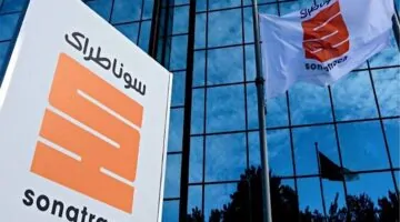 موعد إعلان النتيجة.. رابط الاستعلام عن نتائج مسابقة سوناطراك 2025 للتوظيف في الجزائر