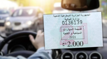 مديرية الضرائب الجزائرية تطلق منصة رقمية لاقتناء قسيمة السيارات الكترونيا