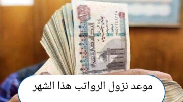 وزارة المالية توضح موعد نزول الرواتب هذا الشهر وموعد تنفيذ الحد الأدنى للأجور