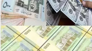 إعلان رسمي: بدء صرف رواتب الجهات الحكومية في ثلاث محافظات يمنية.. آلية الدفع وأسماء البنوك المعنية