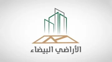 بعد موافقة مجلس الوزراء.. أبرز التعديلات الجديدة في نظام رسوم الأراضي البيضاء