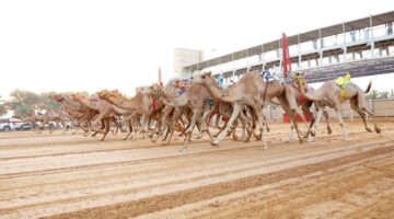 تألق مذهل لـ«الشامخة» و«الزواري» في مهرجان المرموم