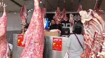 7.3 % زيادة في كمية لحوم الطيور والدواجن عام 2023