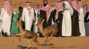 جهود سعودية طموحة لحماية التنوع البيولوجي وصناعة مستقبل بيئي مستدام