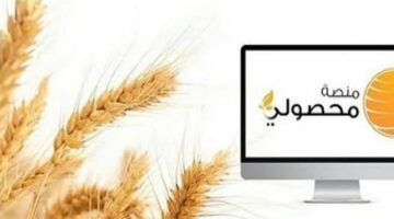 الهيئة العامة للأمن الغذائي تستعد لاستلام القمح المحلي بشكل فوري