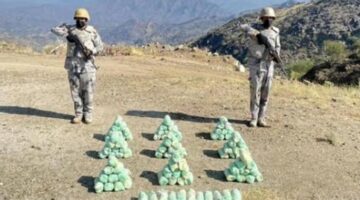 حرس الحدود بجازان ينجح في إحباط تهريب 95 كيلوجرامًا من القات