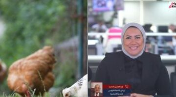 أسواق الدواجن فى مصر.. هل تنخفض الأسعار خلال الفترة القادمة؟ (فيديو)
