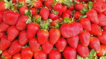 أفضل الأطعمة المضادة للالتهابات داخل الجسم