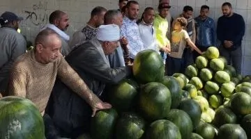 افتتاح مزاد بيع البطيخ في الإسكندرية مع صوت المزمار البلدي.. شاهد الفيديو!