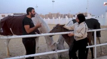الخيل تهذّب ولا تُدلّل.. رحلة داخل عالم الخيول مع حاتم ستين: "ورا كل نظرة معنى"