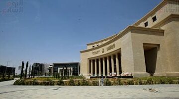 المركزى المصرى: تحويلات المصريين بالخارج تقفز إلى 20 مليار دولار خلال 7 شهور