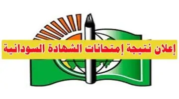رابط نتيجة امتحان الشهادة السودانية 2025 الكترونيًا: التعليم تعلن موعد النتائج