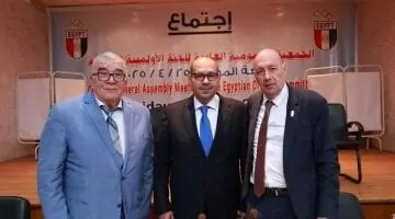 تعيين شريف العريان سكرتيرا عاما شرفيا لللجنة الأولمبية المصرية